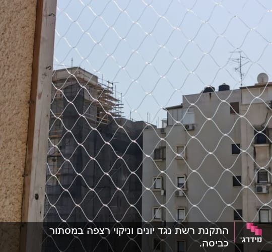 רשת מתוחה על מסגרת עץ למניעת כניסת יונים